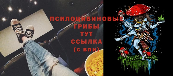 эйфоретик Горняк