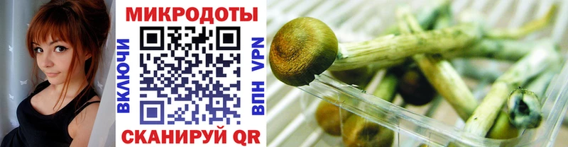 Купить закладки  Гай  Галлюциногенные грибы мухоморы 