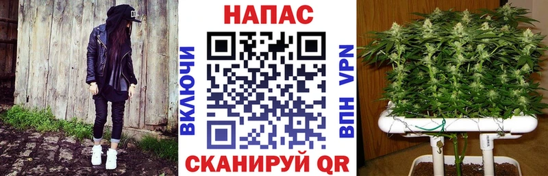 Купить  Гай  Марихуана тримм 
